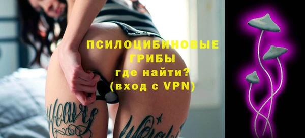 соль ск Заводоуковск