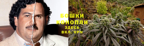 прущие крисы Зеленодольск